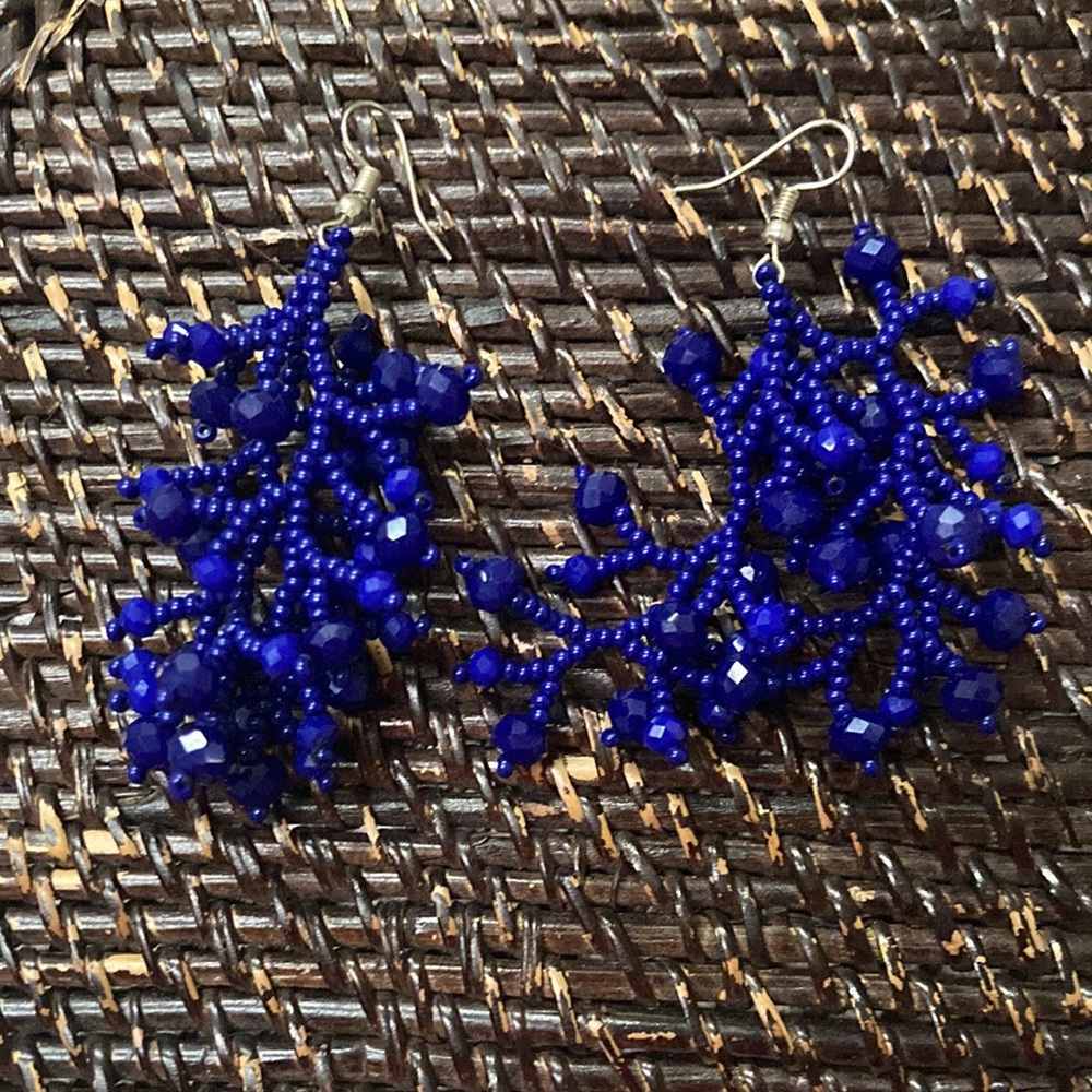 EARRINGS -NWOT